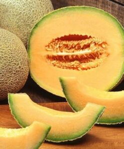 Melon 'Seledyn' P9/C1