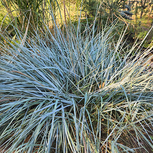 Wydmuchrzyca piaskowa poj, 2L