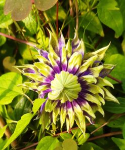 f4428352983b87b412c0c08a8fb4c2ee