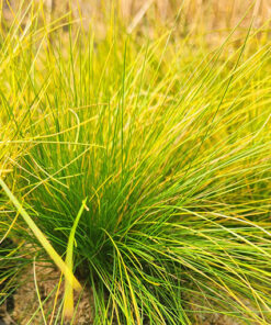 1628130c8aa57ce060a1ffbd819b2281