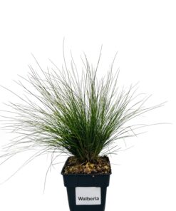 21afbe765137fa0756467be75f1bfea0