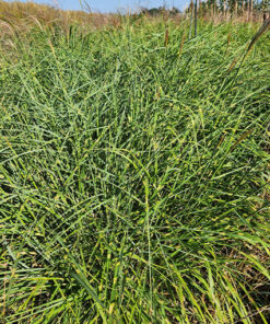 abd05efd28ba7d94bd3836d3feebd8b6