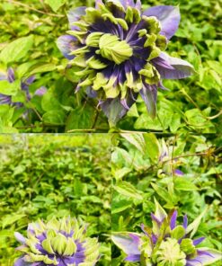 ebd2c7370f31076de652f266bc8e071c