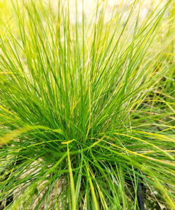 ec33e6cbe22fb79cdd0d33c76699e61c