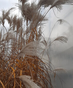 acec773e052bd85d4b6e37ffecc3da7a