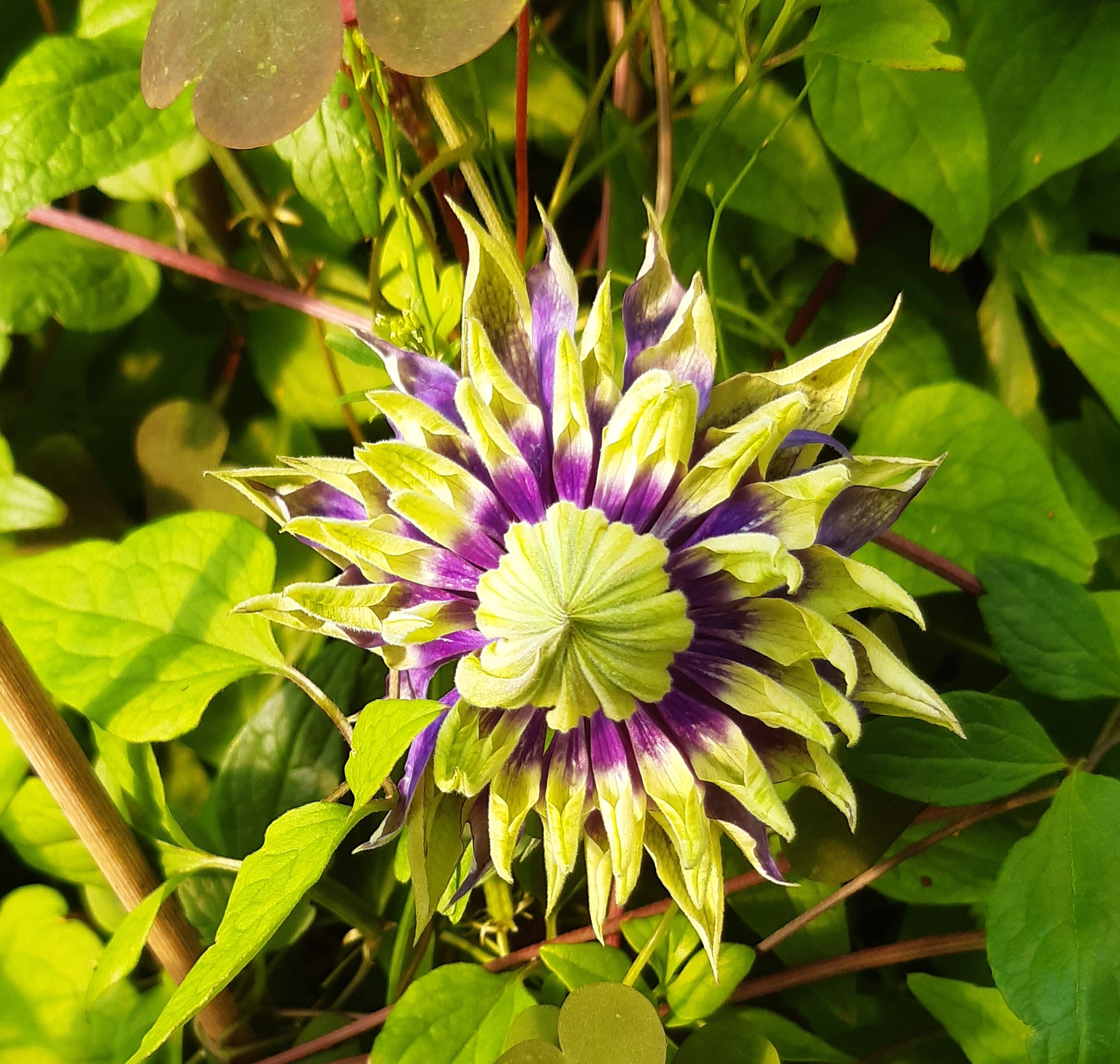 f4428352983b87b412c0c08a8fb4c2ee