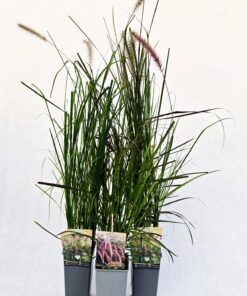 23d1e087e70ee14a458a1c2af231ee59