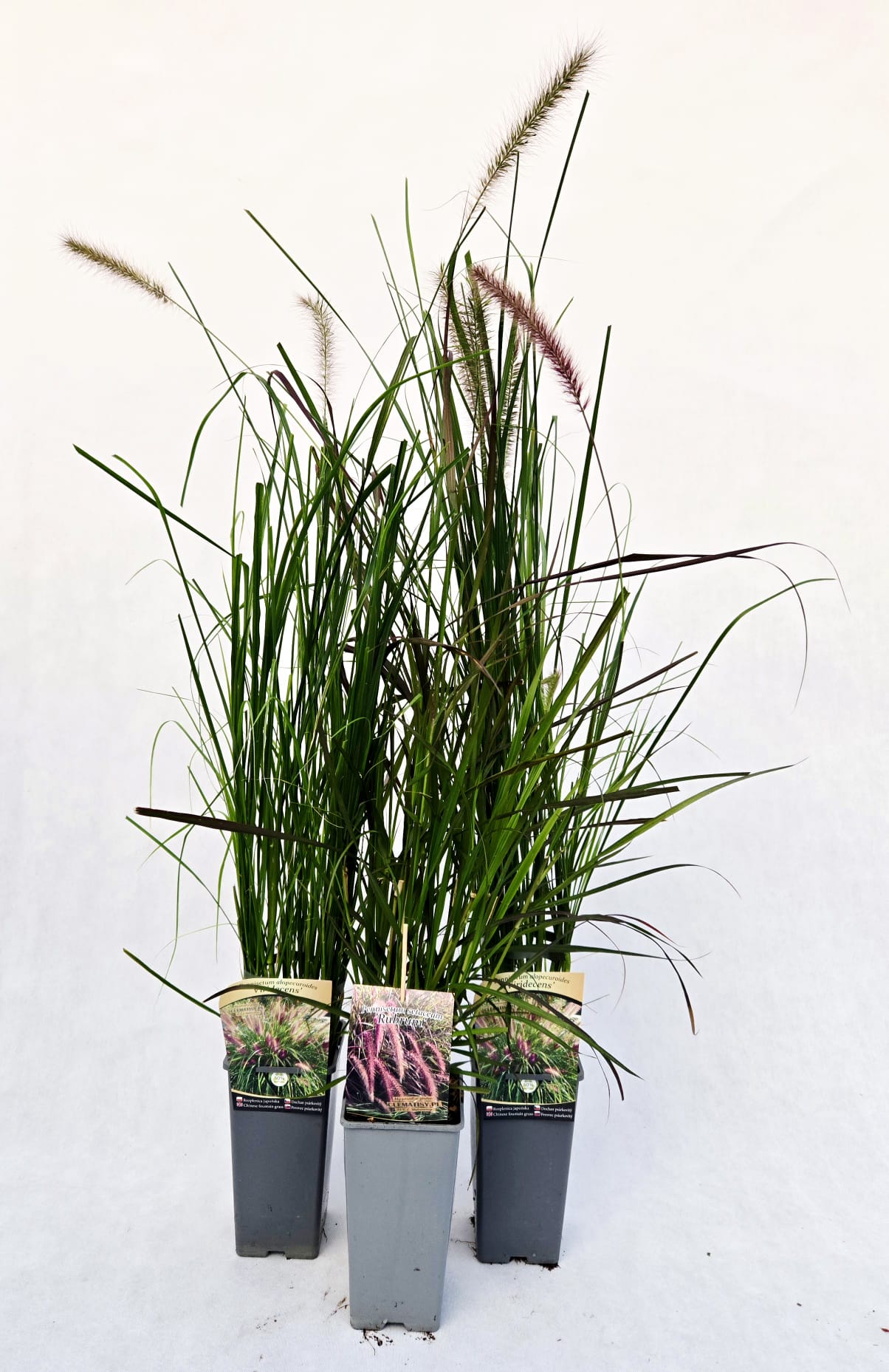 23d1e087e70ee14a458a1c2af231ee59