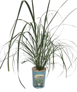 e16b1e409c222494bfd0175a064cc6fa