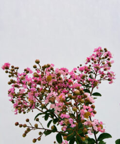 d9ebc249c79efd62f85cc77a310e1f65