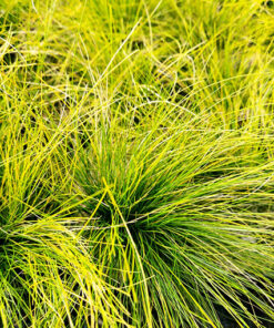 09c2120f57788a847529c7738d4b6c20