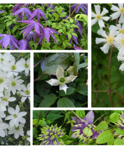 f9c71800b84ea8a4eb0f7848276cea1f