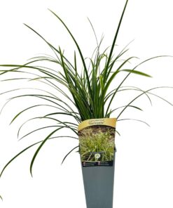 d8b370da7cad1e2d223079cb342deb19