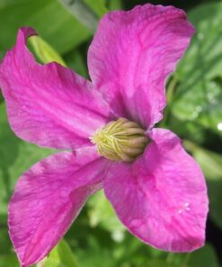 933339e73acbc6a8568a3ab36b23e7d0