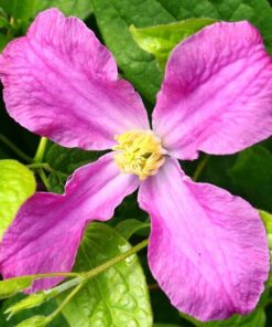 31827ec372c820a1b0a5f4f90539dfa5