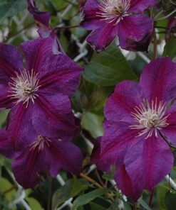 320af9e5f2003a9c83db7473cabea8e4