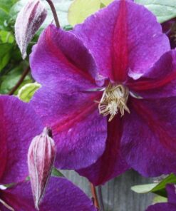 4a6f2d6c6014e2912a930ca2b877f100