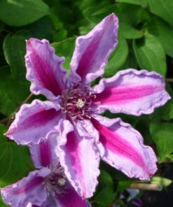 5fb23504333141746e300545ad3e4e61