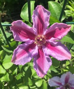 4efebf0eae6421f3780595e0e2f951ee