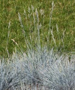 dcef2beca882d34b0c091fdee3875317