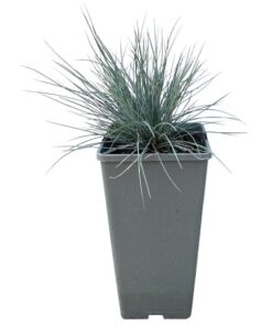 a4090d1db045c4d894565d5556369a13