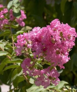 2feaeb1ccb28a54032446b9180140275