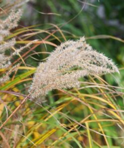 2cea796d7dc5f395cde7927f824e0cd2