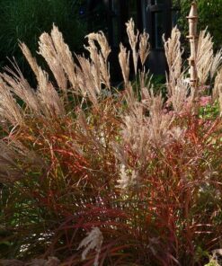 2470f213e0993ef7a4d2f0294b8bc64b