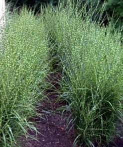 5104c3a2381b7de31e0277199fcc2f76