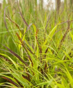 73773b952026128cd9b0fd4a294b5464