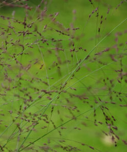 06996c94b4e37c57d976fc7ca4bdd0b6