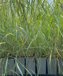 a1d8ff3ea364d4576f41fc2dc44cec69