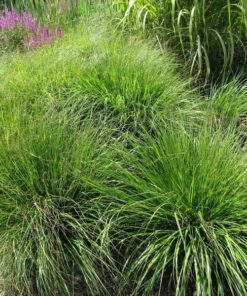 0f18250c65627e9f071d7bb7eddb3950