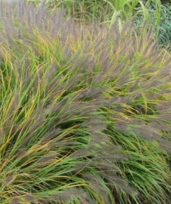 8b0e0a8be1b5a622c30a726946e6b767