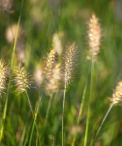 413ad655f840125ec94b6dd25456315b