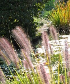 1767cf1786063560655f97f79664c527