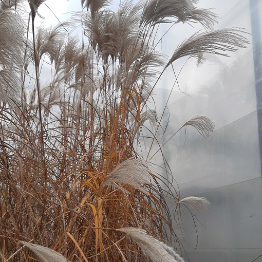 dea09565cc46c28507f2092a76d92d4c