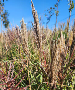 b5f99d63f8779bed67e7cf74e512c166