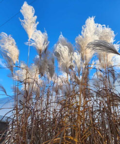 48db54804f4a4ab017cec6e189a9553e