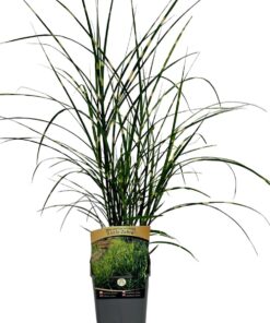 ab6ce45b64b19356bc681aef9fddc5b3