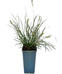 5dea43c682fb754a602db1e3e2c281f9