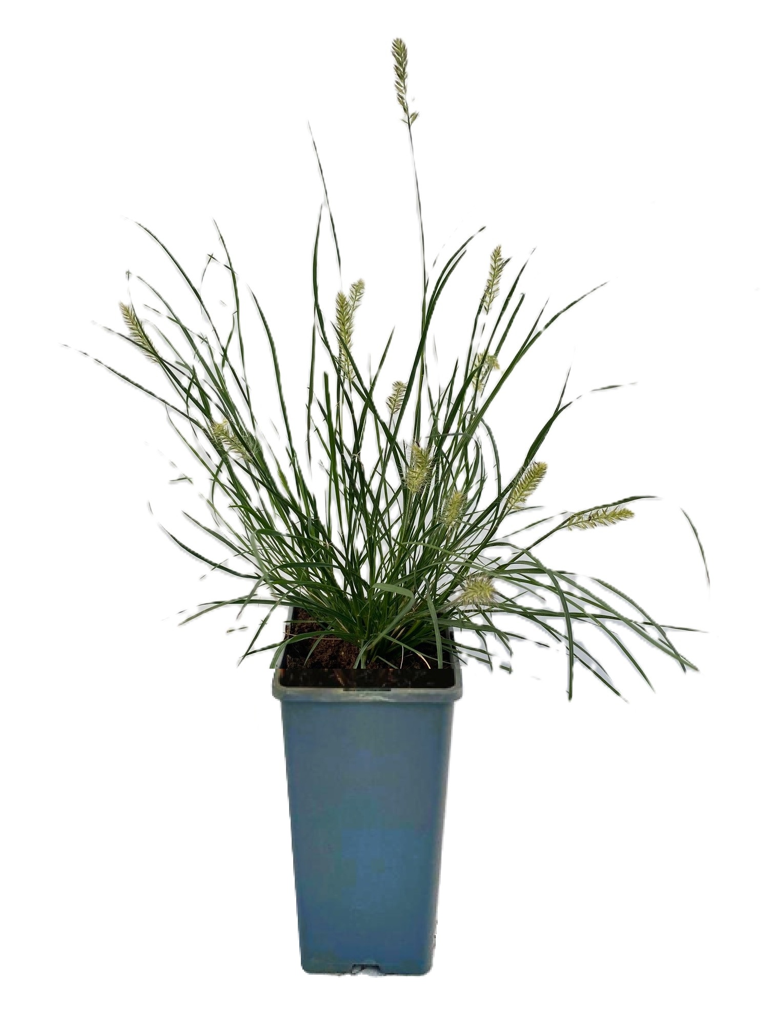 5dea43c682fb754a602db1e3e2c281f9