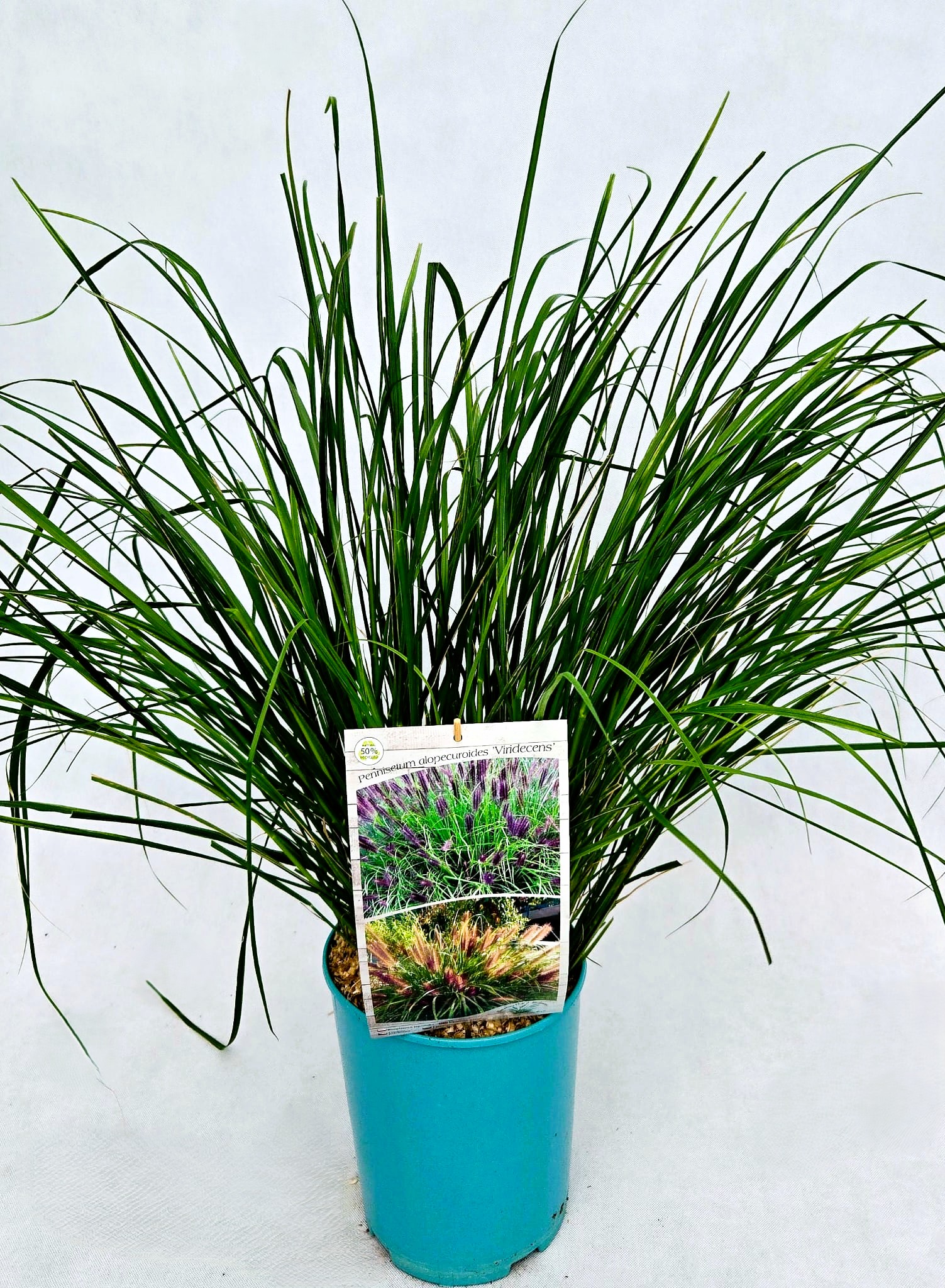 bf11f03287088b58188e3a59dd6c8d36