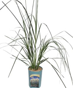 35fd5d3feb013235af19812b8d4fdeec