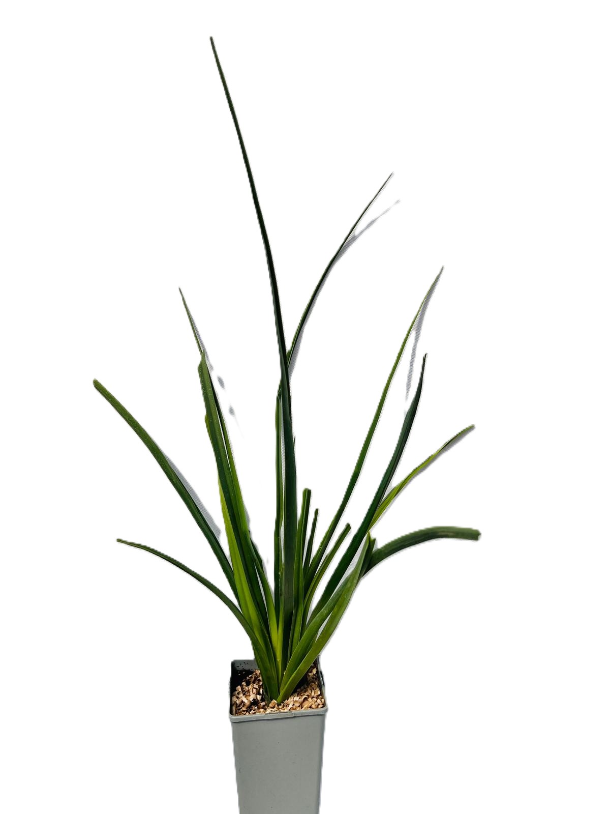 176e2303c367b3165cebf3c592fad82c