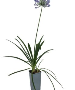 83c5e1d8b7a955cfde6a49379a224ad4