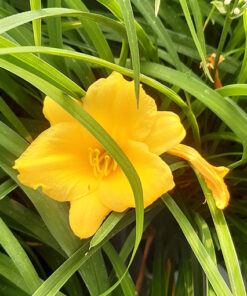 a4e1ca9aa0462868502f6da942904581