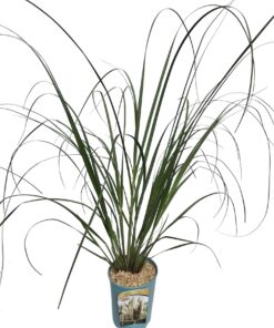 e902c43733afcb2a4e12605e09f20bf9