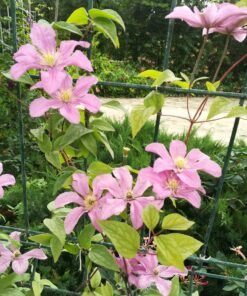 9df5b0ddfbaad88893cce4ef0e85592d