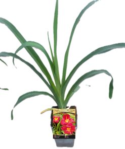 d66570dbf5ee0525f16f5a6feee63887